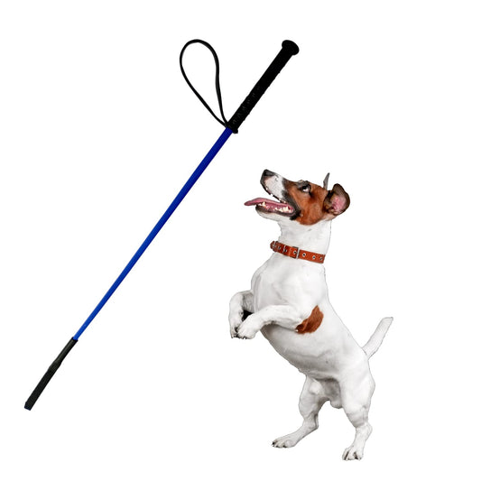 Jainsons Pet Product Dog Training Stick for Dogs – 30 Inch Lightweight, Soft & Flexible Dog Training Tool | Safe & Easy to Use for Obedience...