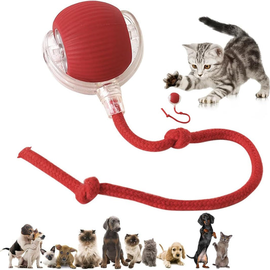 Naturaceutica's Interactive Electric Automatic Rolling Moving Rechargeable Self Play Stimulation Toy,Smart Pet Chase Ball With Speedy Tail Rope For...