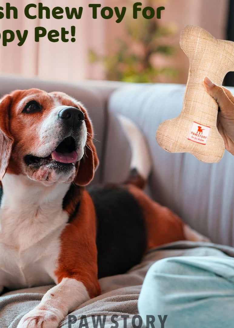 PAWSTORY Dog Chew Toy with Inbuilt Squeaker | Soft Plush Toy for Puppies & Dogs | Durable, Handcrafted for Moderate Chewers | Ideal for Teething, Playing & Cuddling | Perfect for Small & Large Dogs